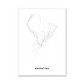 All roads lead to Argentina Fine Art Map Print
