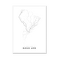 All roads lead to Buenos Aires (Argentina) Fine Art Map Print