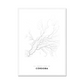 All roads lead to Córdoba (Spain) Fine Art Map Print
