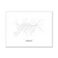 All roads lead to Chernihiv (Ukraine) Fine Art Map Print