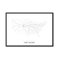All roads lead to Fort Collins (United States of America) Fine Art Map Print