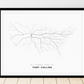 All roads lead to Fort Collins (United States of America) Fine Art Map Print