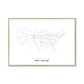 All roads lead to Fort Collins (United States of America) Fine Art Map Print