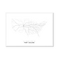 All roads lead to Fort Collins (United States of America) Fine Art Map Print