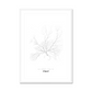 All roads lead to Italy Fine Art Map Print