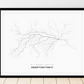 All roads lead to Kropyvnytskyi (Ukraine) Fine Art Map Print
