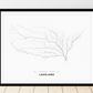 All roads lead to Lakeland (United States of America) Fine Art Map Print
