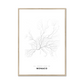 All roads lead to Monaco (Monaco) Fine Art Map Print