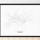 All roads lead to Ploieşti (Romania) Fine Art Map Print