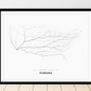 All roads lead to Pomona (United States of America) Fine Art Map Print