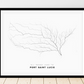 All roads lead to Port Saint Lucie (United States of America) Fine Art Map Print