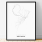 All roads lead to São Paulo (Brazil) Fine Art Map Print