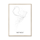 All roads lead to São Paulo (Brazil) Fine Art Map Print