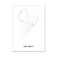 All roads lead to São Paulo (Brazil) Fine Art Map Print