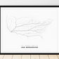 All roads lead to San Bernardino (United States of America) Fine Art Map Print