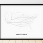 All roads lead to Santa Clarita (United States of America) Fine Art Map Print