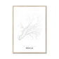 All roads lead to Sevilla (Spain) Fine Art Map Print