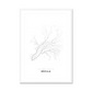 All roads lead to Sevilla (Spain) Fine Art Map Print