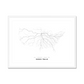 All roads lead to Sioux Falls (United States of America) Fine Art Map Print