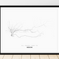 All roads lead to Sochi (Russian Federation) Fine Art Map Print
