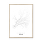 All roads lead to Spain Fine Art Map Print