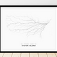 All roads lead to Staten Island (United States of America) Fine Art Map Print