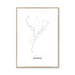All roads lead to Ushuaia (Argentina) Fine Art Map Print