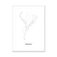 All roads lead to Ushuaia (Argentina) Fine Art Map Print