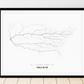 All roads lead to Vallejo (United States of America) Fine Art Map Print